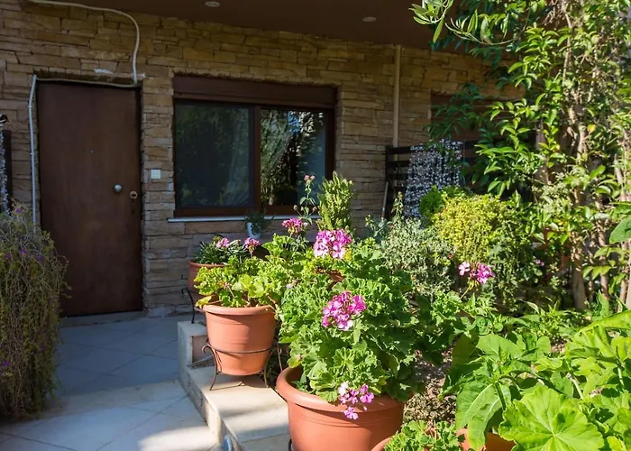 Stylish House By The Sea *